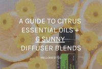 Citrus Essential Oils Guide: 6 Bright Diffuser Blends to Try