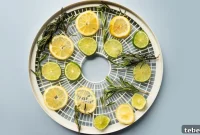 Make Potpourri from Fruit and Vegetable Scraps: DIY Guide