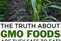 Are Genetically Modified Foods Safe to Eat?