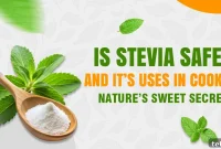 Is Stevia Safe and How to Use It in Cooking
