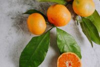 Plant-Based Collagen Boosters: Vegan Sources and Benefits