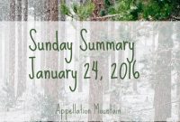 Sunday Summary: Week 4 of 2016 Highlights