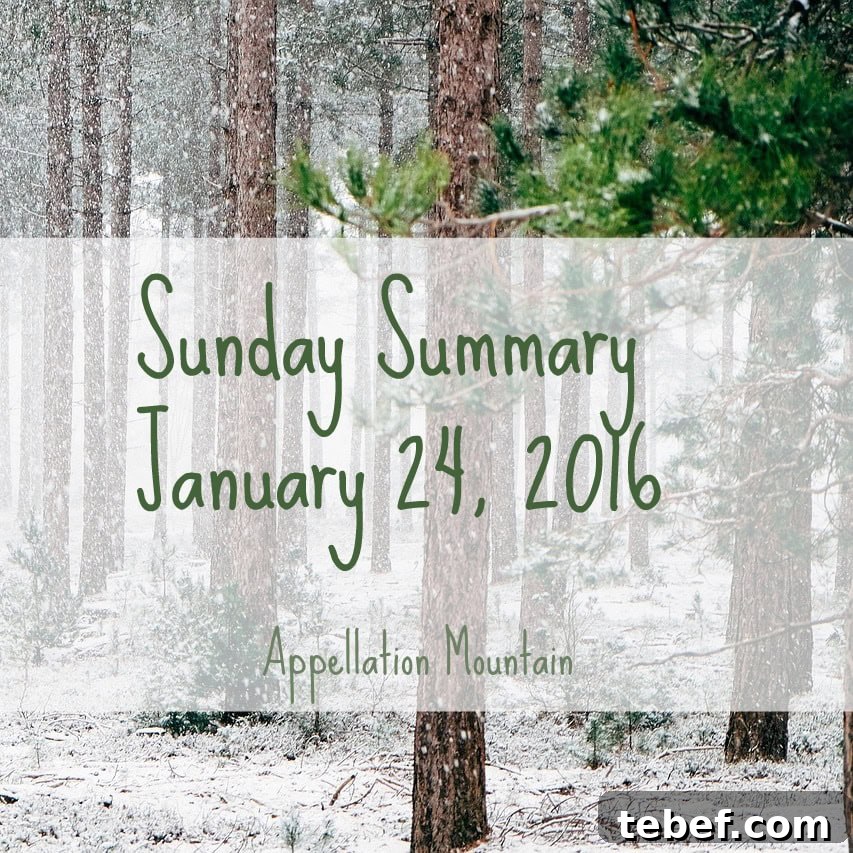 featured 37556