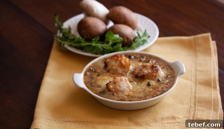 Coquilles Saint-Jacques: Classic French Scallop Dish Recipe 5 coquilles st Jacques served in a white ovenproof plate