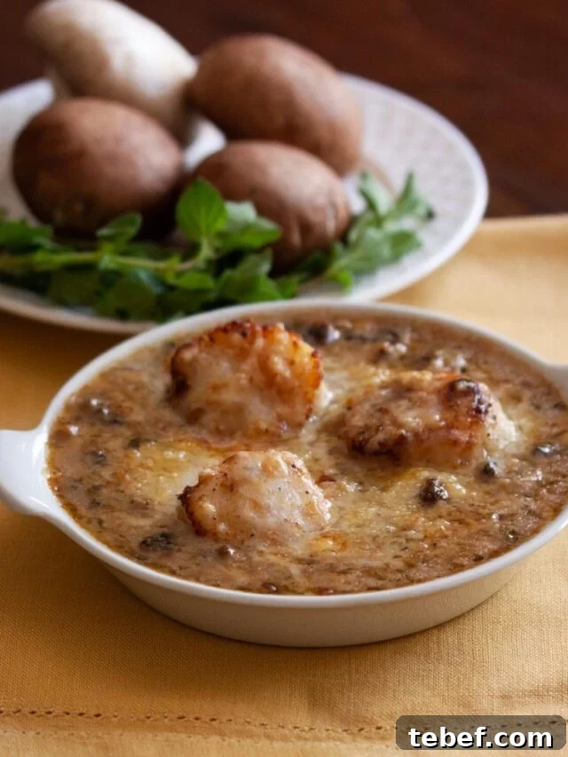 Coquilles St. Jacques coquille st jacques