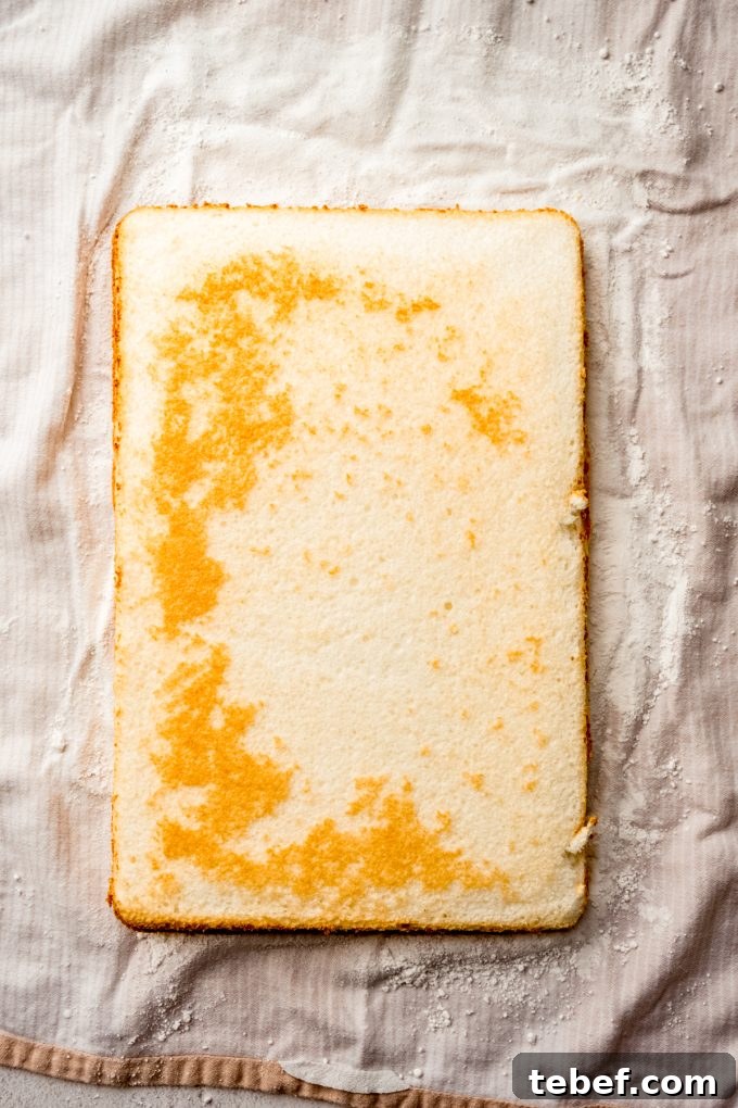 Decadent Strawberry Swiss Roll Recipe with Cream Filling 11 A layer of cake on a kitchen towel.