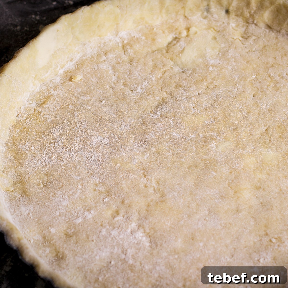 A tart pan that's been fitted with tart pastry dough.