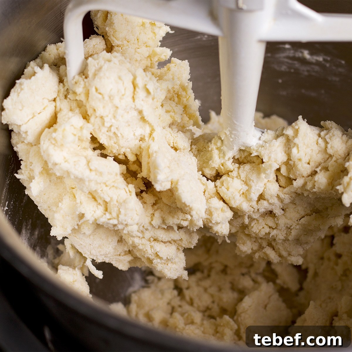 A mixing bowl containing tart crust dough.