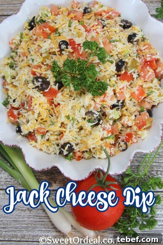 Creamy Jack Cheese Dip Recipe for Parties and Game Day 2 Jack Cheese Dip is made with fresh tomatoes, green chilies, and Italian dressing. Delicious!