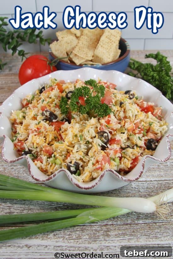 Creamy Jack Cheese Dip Recipe for Parties and Game Day 5 The perfect appetizer to serve with tortilla chips or fresh, crisp veggies.