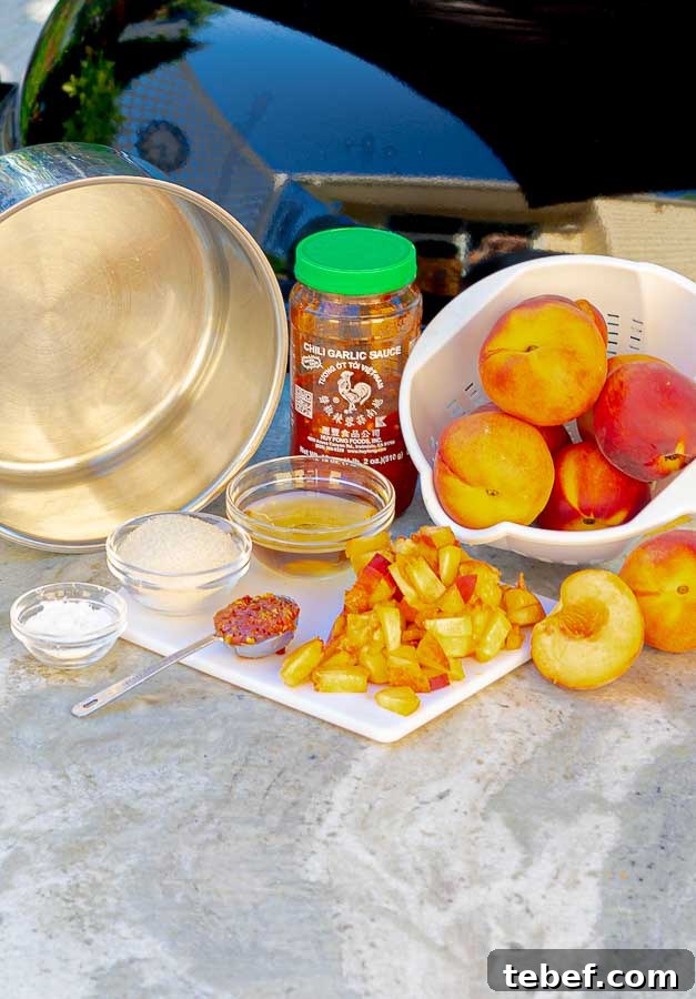 ingredients for peach dipping sauce for coconut rice