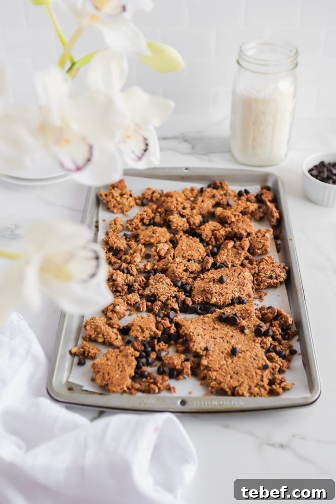 Chocolate Chip Oatmeal Cookie Granola: Crunchy Homemade Recipe 2 easy homemade 10 ingredient chocolate chip cookie granola recipe on a prepared baking sheet