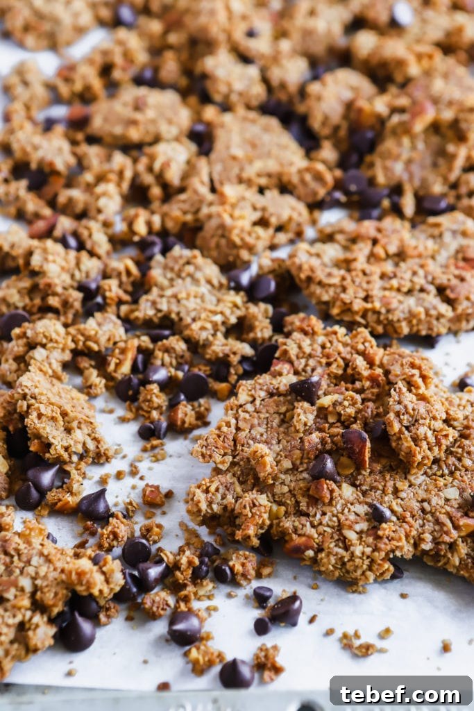 Chocolate Chip Oatmeal Cookie Granola: Crunchy Homemade Recipe 9 close up shot of delicious easy homemade chocolate chip oatmeal cookie granola recipe