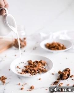 Chocolate Chip Oatmeal Cookie Granola: Crunchy Homemade Recipe 10 img 1136 9