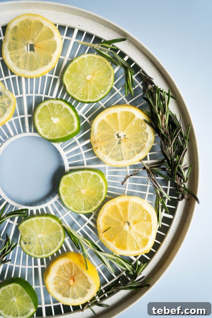 lemon, limes and rosemary in a dehydrator