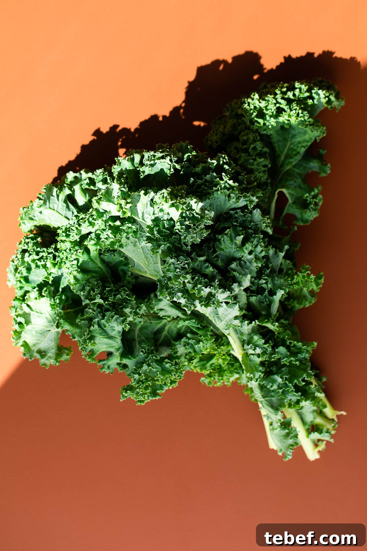 Avocado and Kale Salad with Cherry Tomatoes & Feta 3 Fresh Curly Kale Bunch
