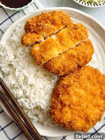 ebi katsu on plate of rice