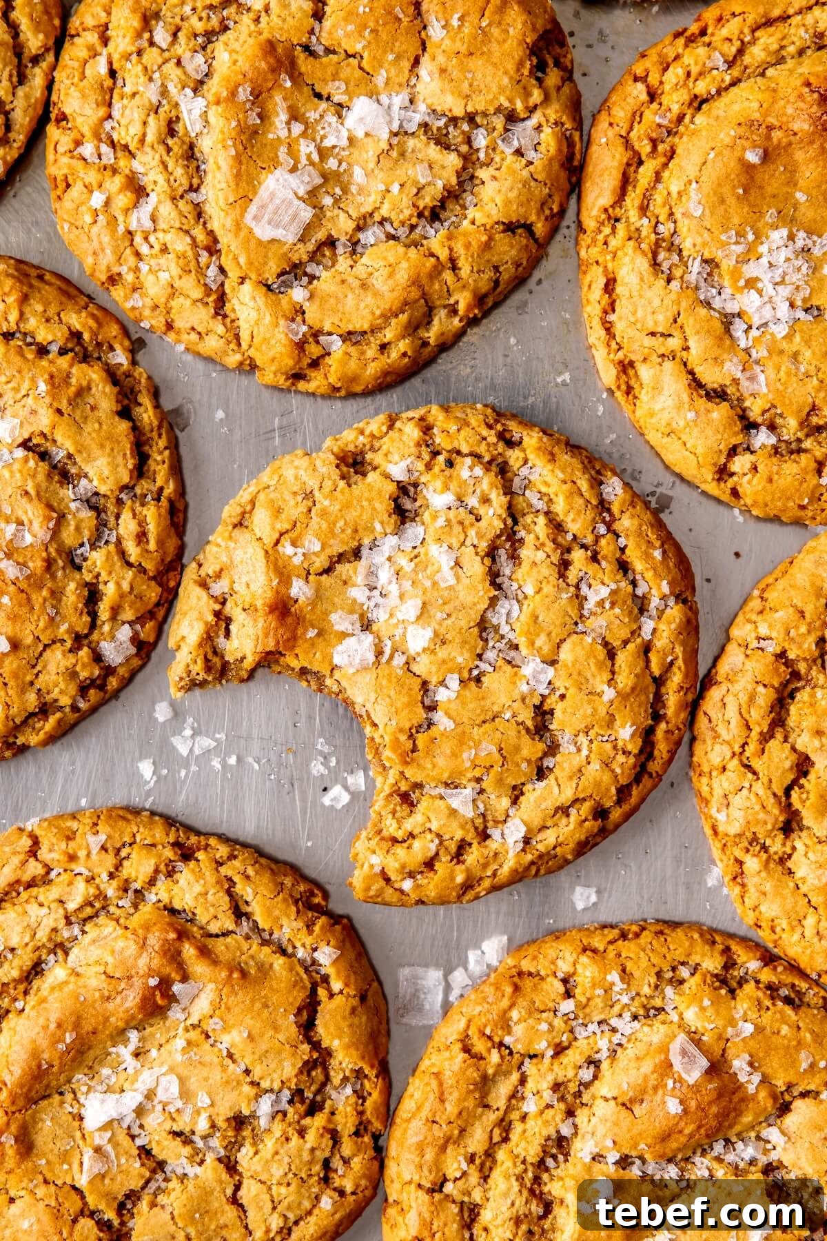 Year-Round Gluten-Free Christmas Cookie Recipes You’ll Love 2 Salted Vanilla Cashew Butter Cookies - Olivia Adriance