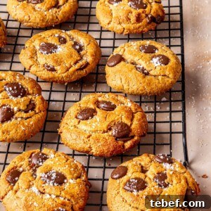 Year-Round Gluten-Free Christmas Cookie Recipes You’ll Love 6 Egg-Free Chocolate Chip Cookies - Olivia Adriance