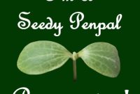September Seed Cuttings Guide: When and How to Root Seeds and Cuttings