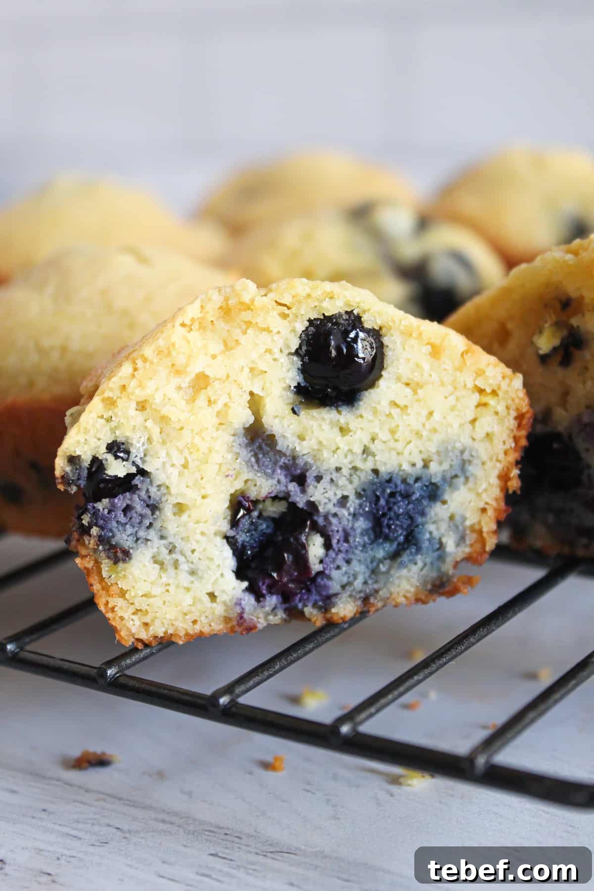 Almond Flour Substitutes: Top Alternatives and How to Use Them 16 inside of an almond flour blueberry muffin.