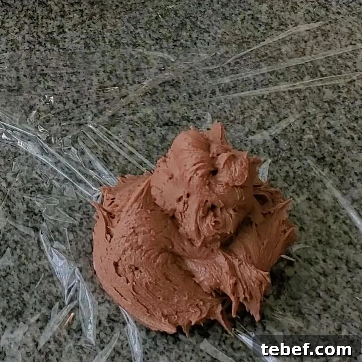 Gluten-Free Thin Mints: Girl Scout Cookie Copycat Recipe 7 placing chocolate dough on plastic wrap.