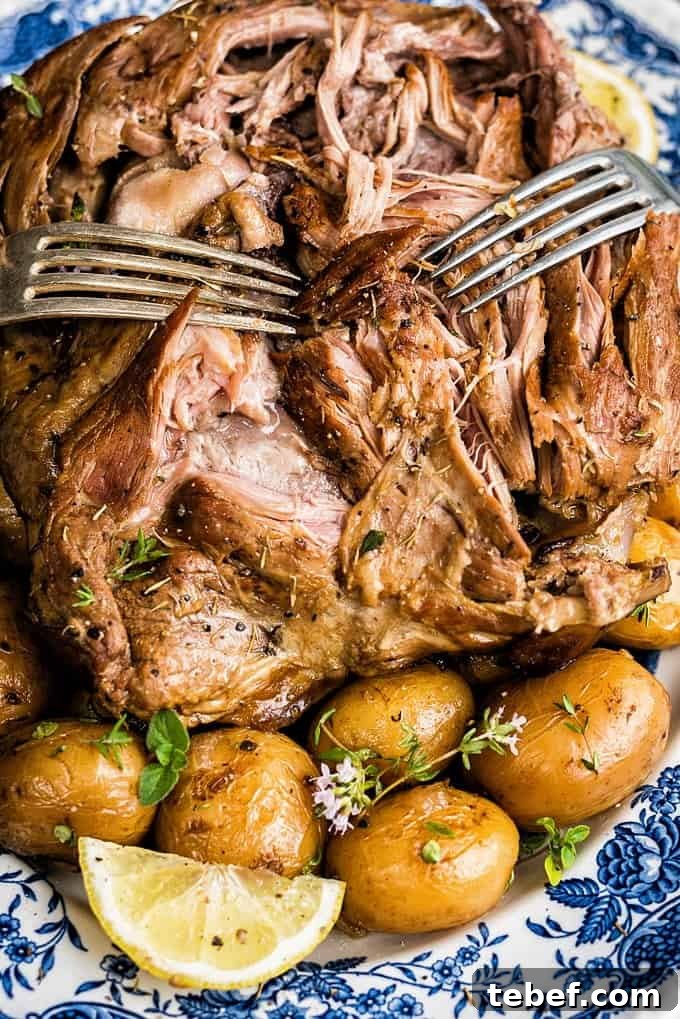 Close up on crockpot lamb being pulled by two forks