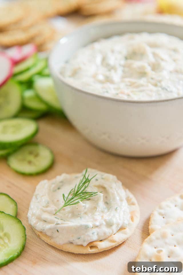 Creamy Smoked Salmon Spread Recipe for Bagels & Appetizers 3 Salmon Spread - on Crackers with Dill Sprig Garnish