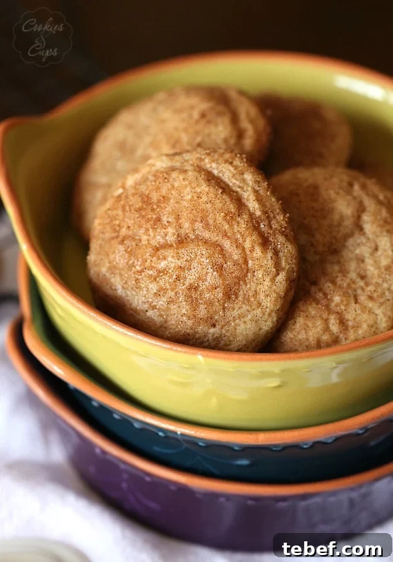 These pumpkin snickerdoodle cookies combine the softness of classic snickerdoodles with seasonal pumpkin spice. A bowl of pumpkin snickerdoodle cookies.