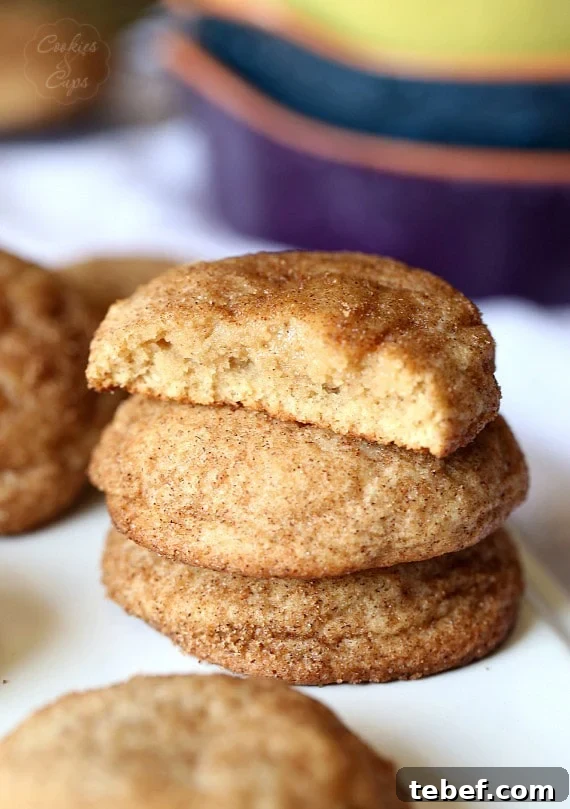 Pumpkin snickerdoodles are soft, chewy, and full of pumpkin spice. A stack of three pumpkin snickerdoodle cookies with the top cookie bitten in half.