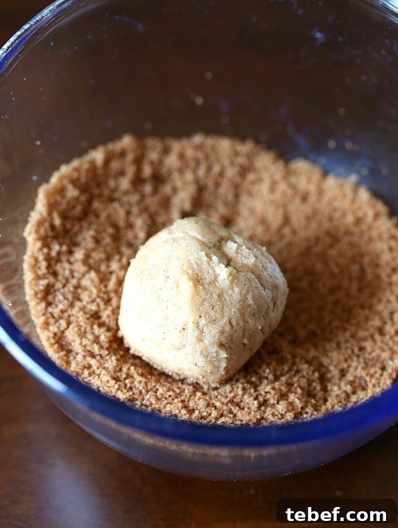Roll in spiced sugar. Snickerdoodle cookie dough in a bowl of Pumpkin Pie Spice and Brown Sugar mixture