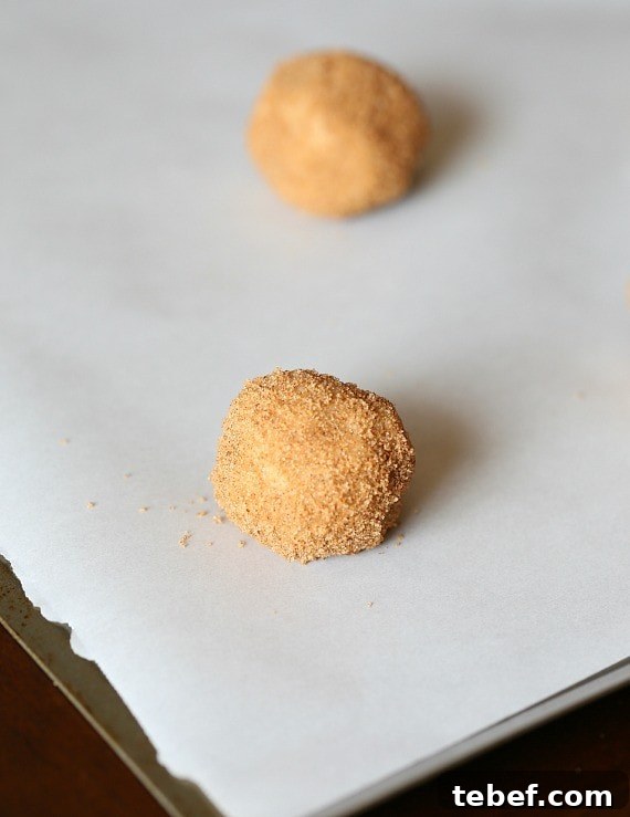 Bake! Snickerdoodle cookie dough balls coated in sugar and ready to bake