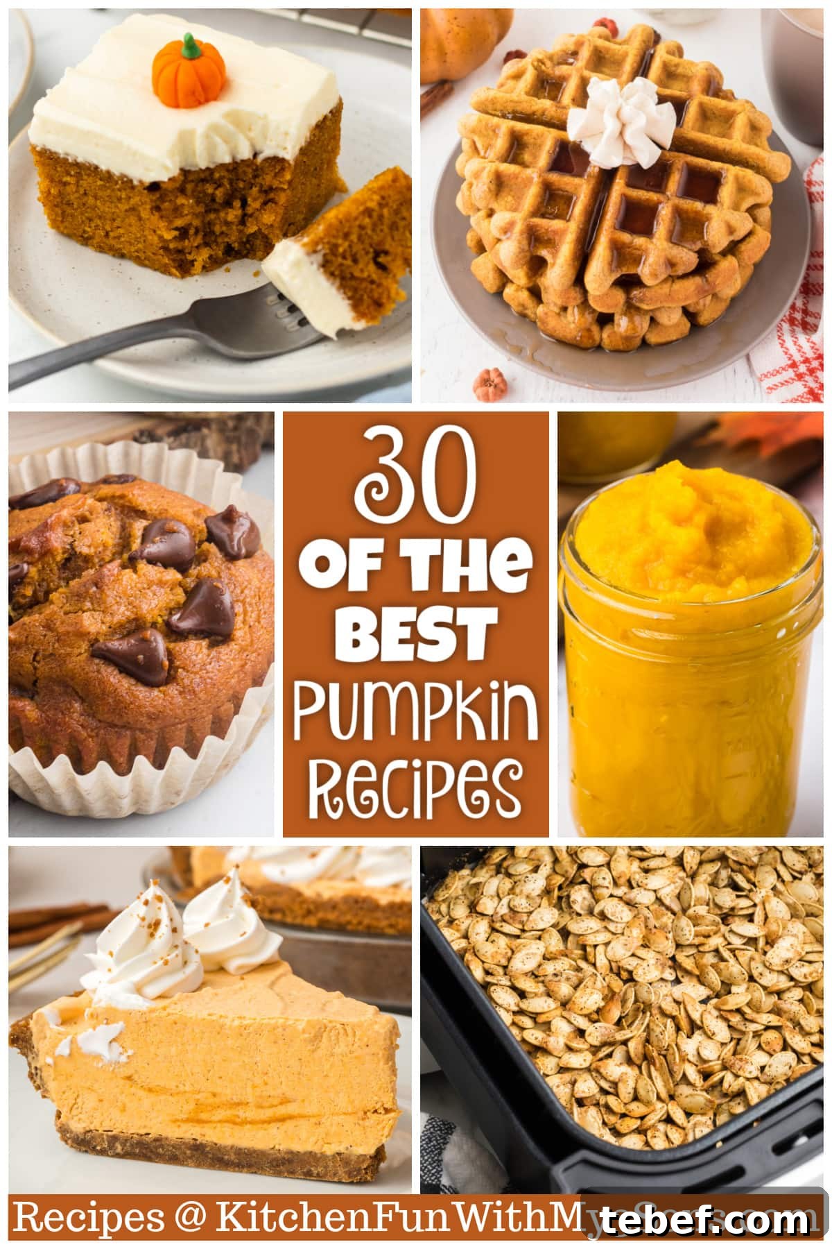 Pumpkin Guide: Varieties, Uses, and Seasonal Tips 2 30 of the BEST Pumpkin Recipes pin