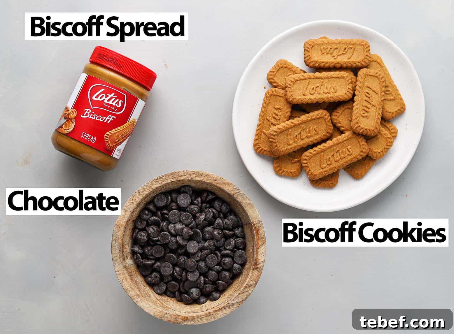 Decadent Biscoff Cookie Butter Truffles Recipe 3 Ingredients on a grey surface.