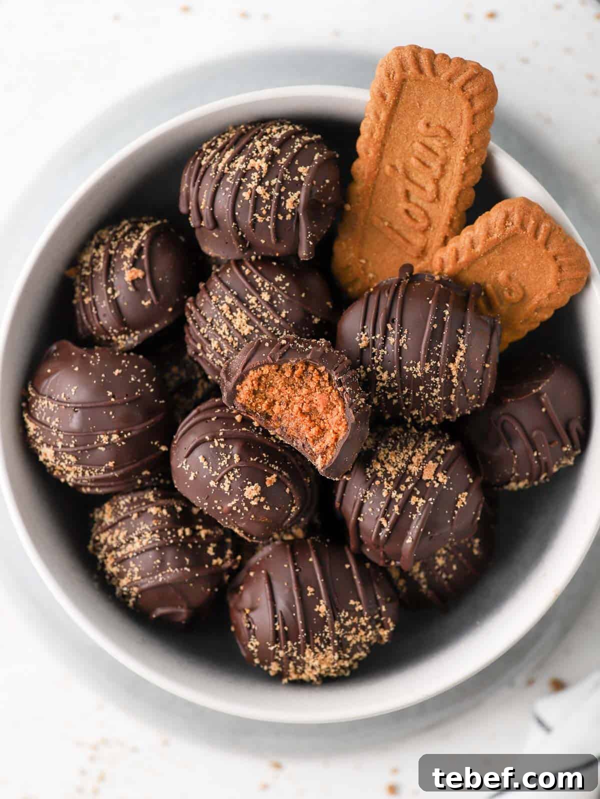 Decadent Biscoff Cookie Butter Truffles Recipe 8 Close up on the Truffles in a grey bowl from above.