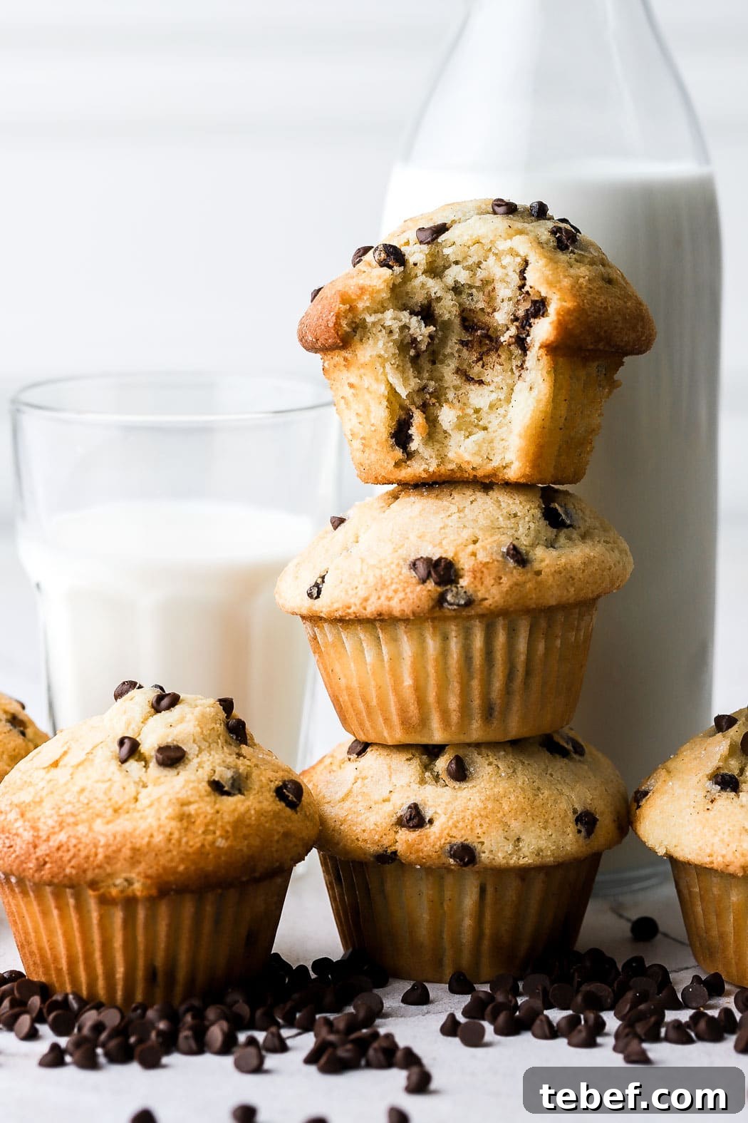 Bakery-Style Chocolate Chip Muffins Recipe That Delivers Flavor 11 bakery style chocolate chip cookies