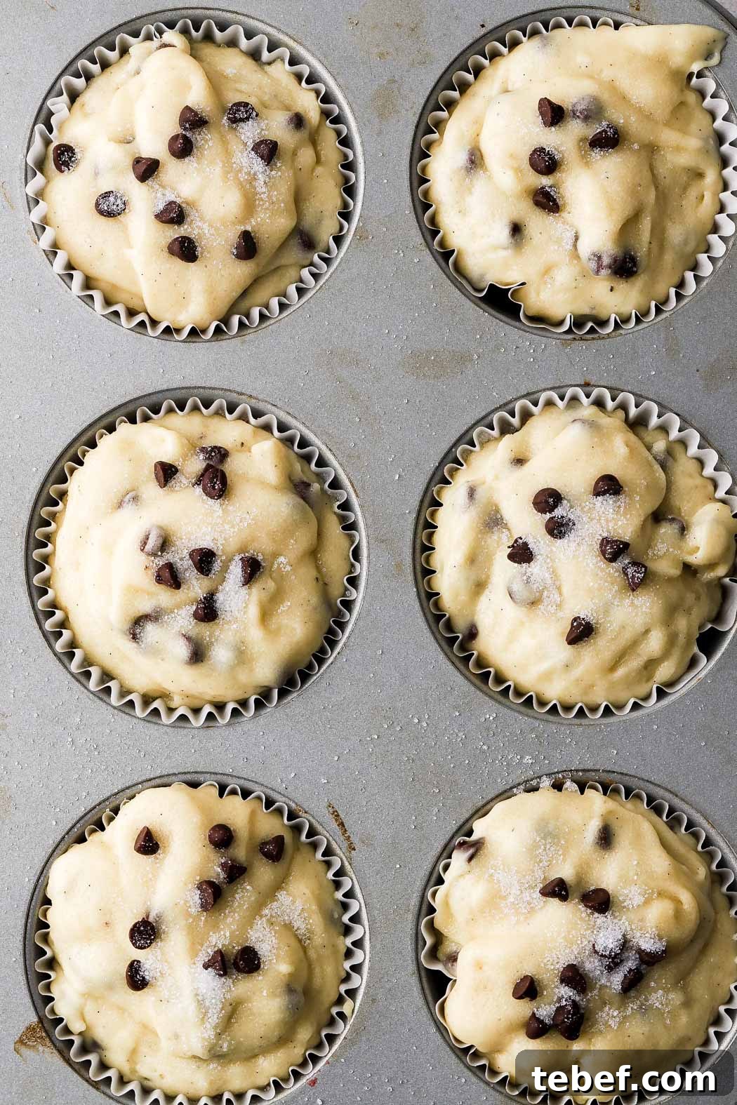 fill muffin tins to the top and top with sugar