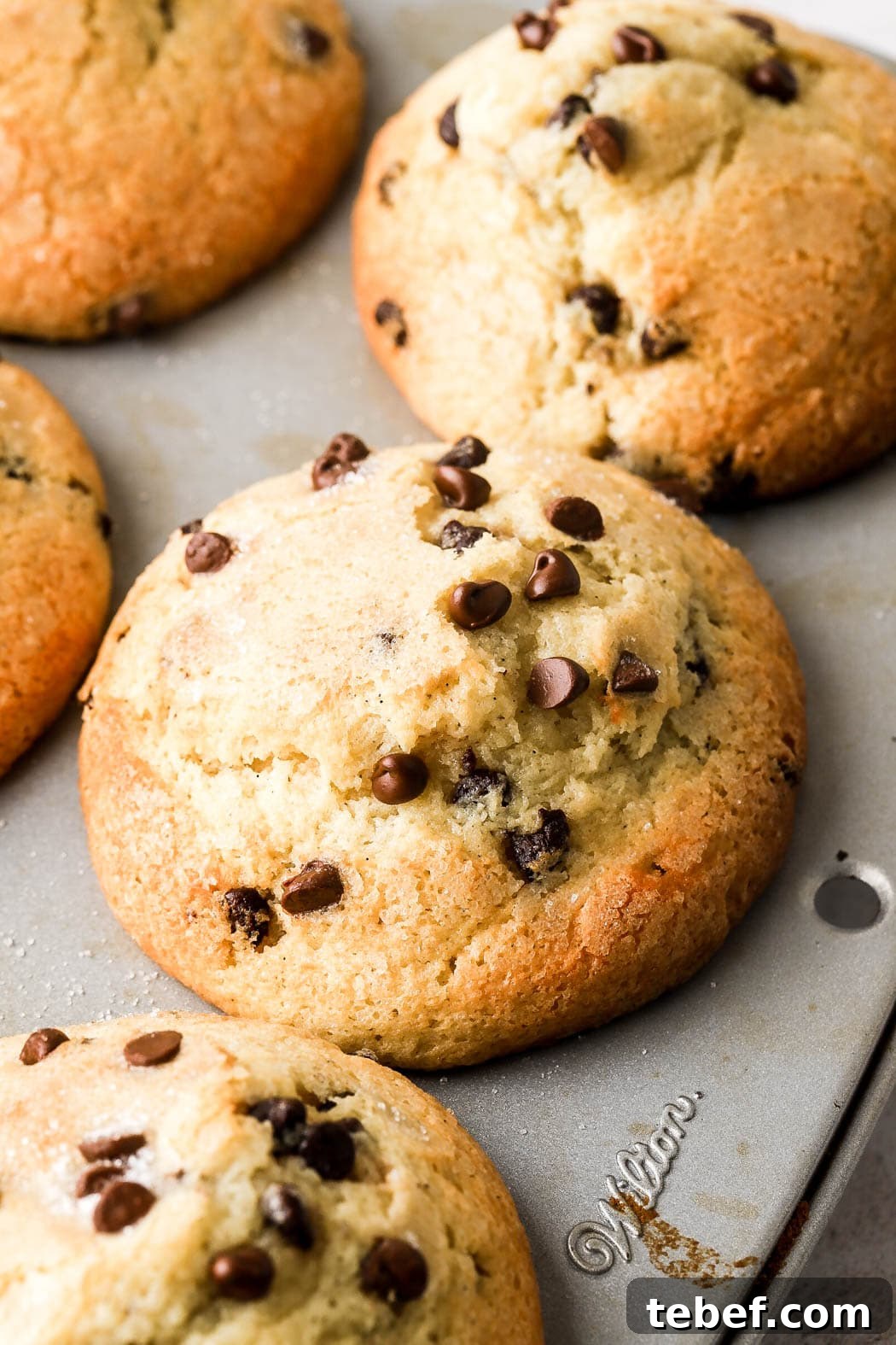 Bakery-Style Chocolate Chip Muffins Recipe That Delivers Flavor 9 bakery style chocolate chip muffins