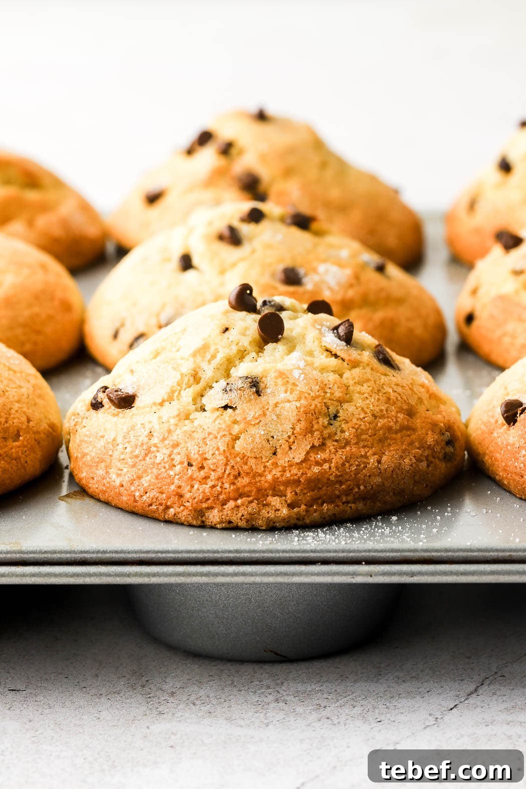 bakery style chocolate chip muffins