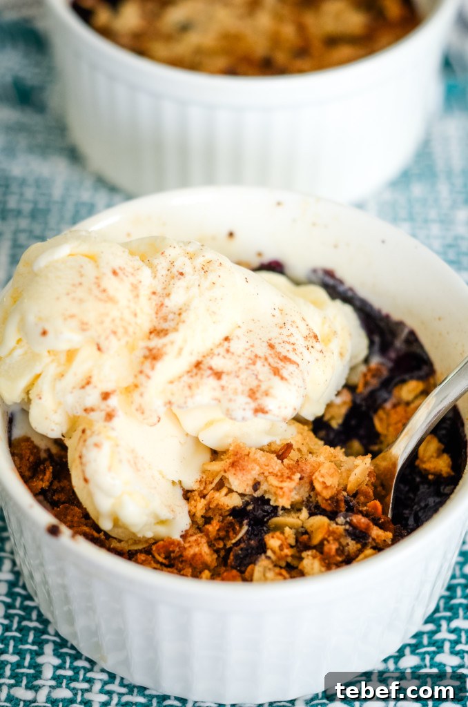 Air Fryer Blueberry Crisp Recipe for Juicy, Crispy Berries 2 air fryer blueberry crisp recipe