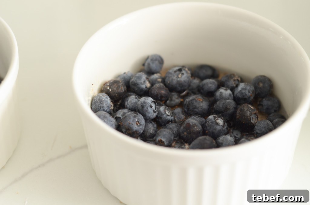 Air Fryer Blueberry Crisp Recipe for Juicy, Crispy Berries 3 air fryer blueberry crisp recipe