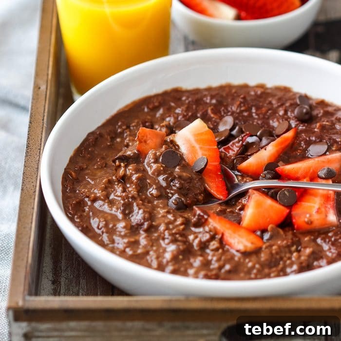 Homemade Double Chocolate Oatmeal