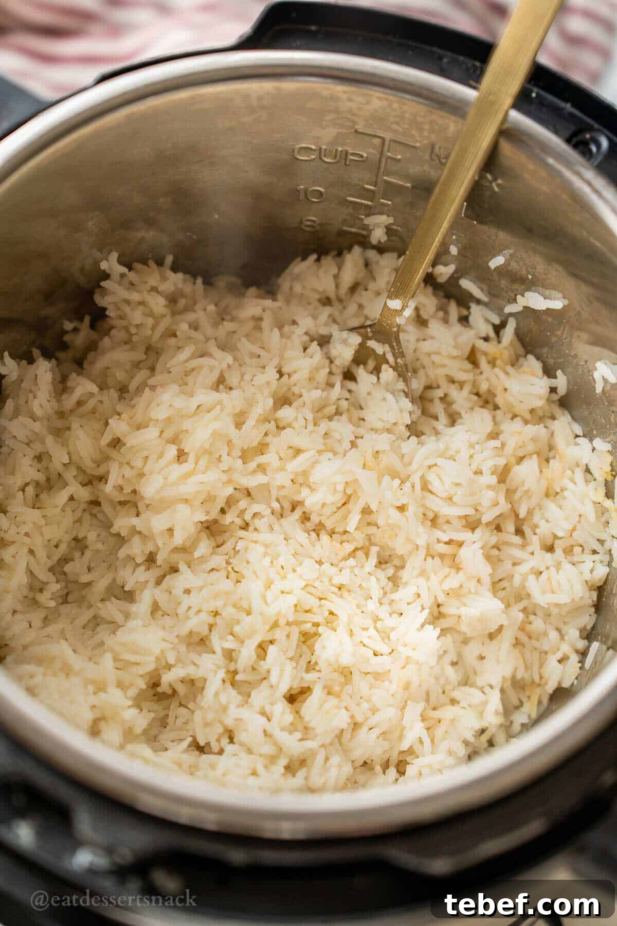 Perfect Instant Pot Jasmine Rice Recipe 6 Cooked jasmine rice in instant pot with spoon.