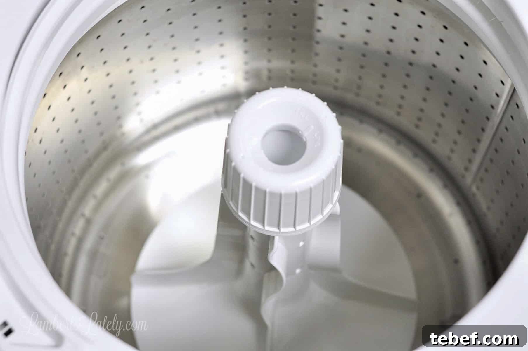 Deep Clean Your Top-Loading Washing Machine: Step-by-Step Guide 2 inside the clean drum of a top loading washing machine.