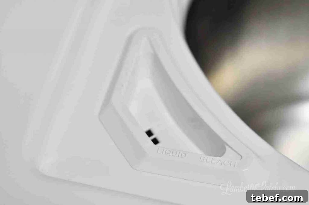 Deep Clean Your Top-Loading Washing Machine: Step-by-Step Guide 10 bleach dispenser on a speed queen washing machine.