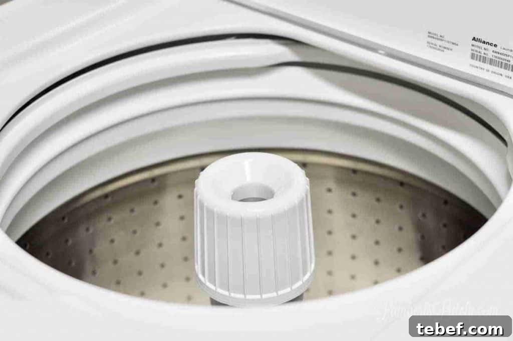 Deep Clean Your Top-Loading Washing Machine: Step-by-Step Guide 11 looking into a speed queen washer.
