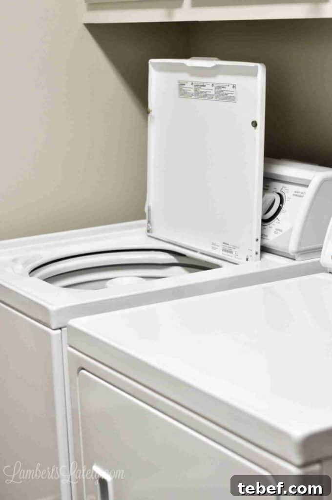 Deep Clean Your Top-Loading Washing Machine: Step-by-Step Guide 12 open speed queen washer.