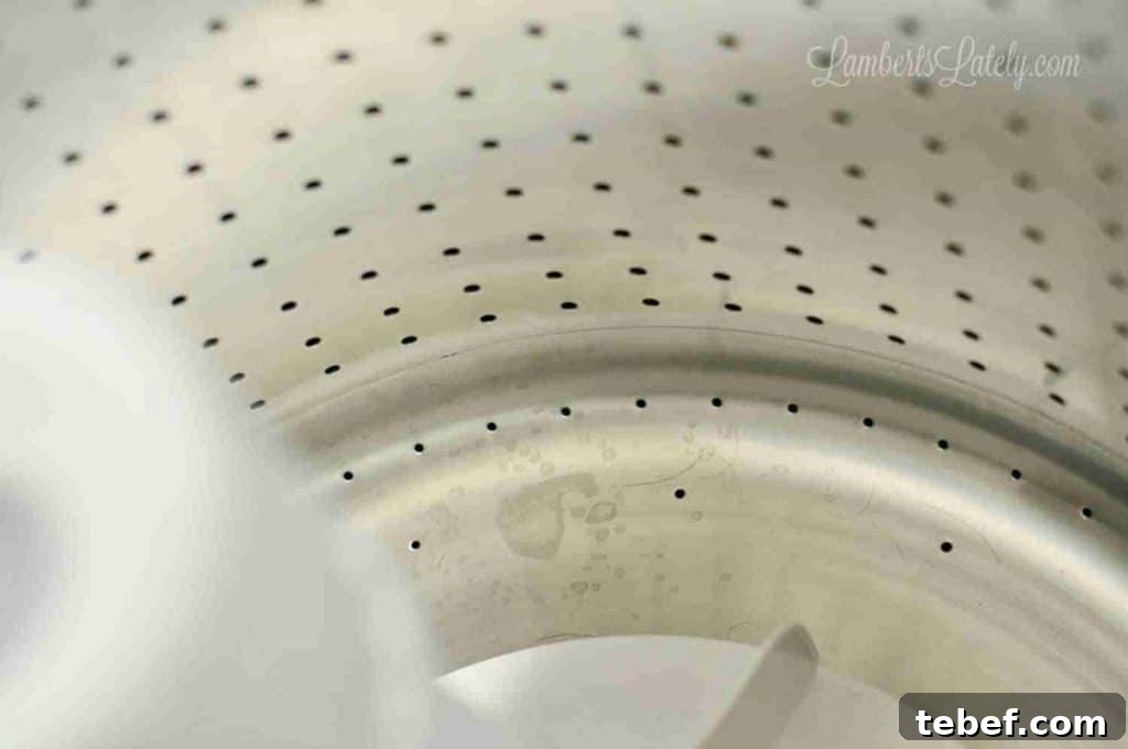 Deep Clean Your Top-Loading Washing Machine: Step-by-Step Guide 4 dirty inside drum of a washing machine.