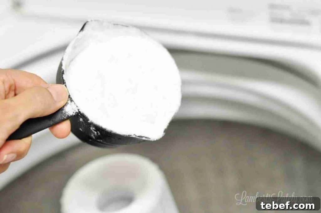 Deep Clean Your Top-Loading Washing Machine: Step-by-Step Guide 5 pouring baking soda into a washing machine.