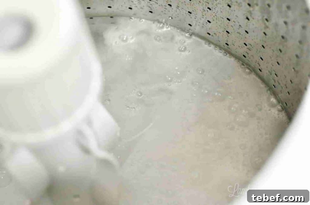 Deep Clean Your Top-Loading Washing Machine: Step-by-Step Guide 6 drum of washing machine filled with water, vinegar, and baking soda.